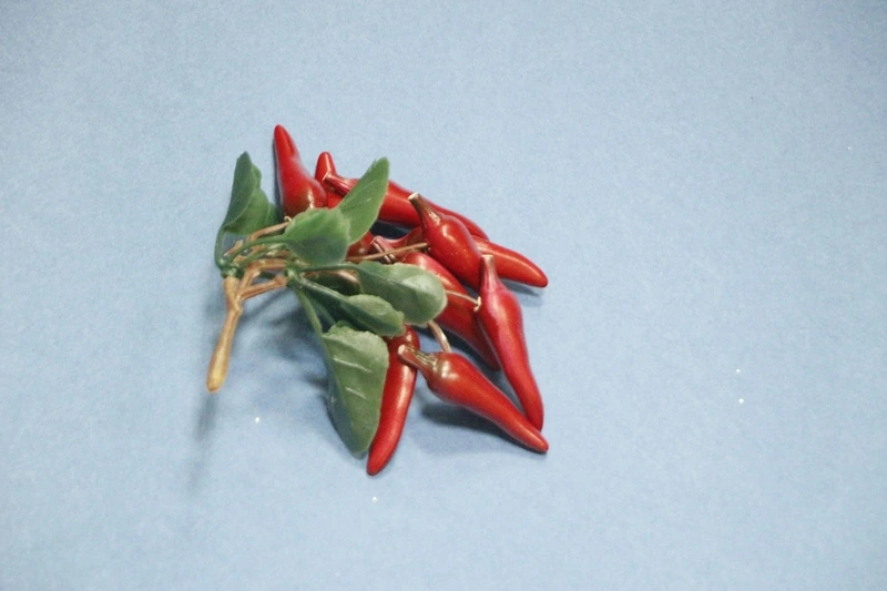 Перец красный на ветке