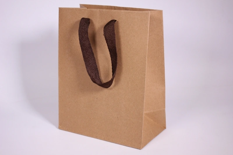 Сумка крафт 18*23*10 однотон.