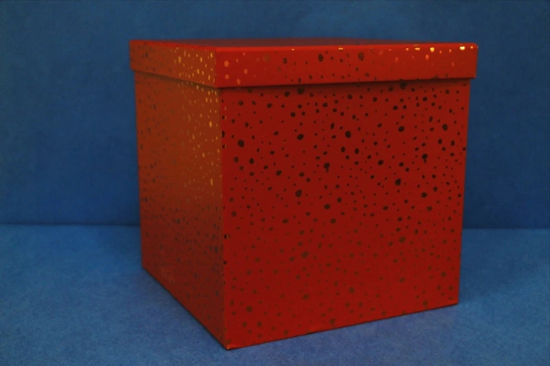 Коробка/набор из 10 шт. КУБ 26,5*26,5