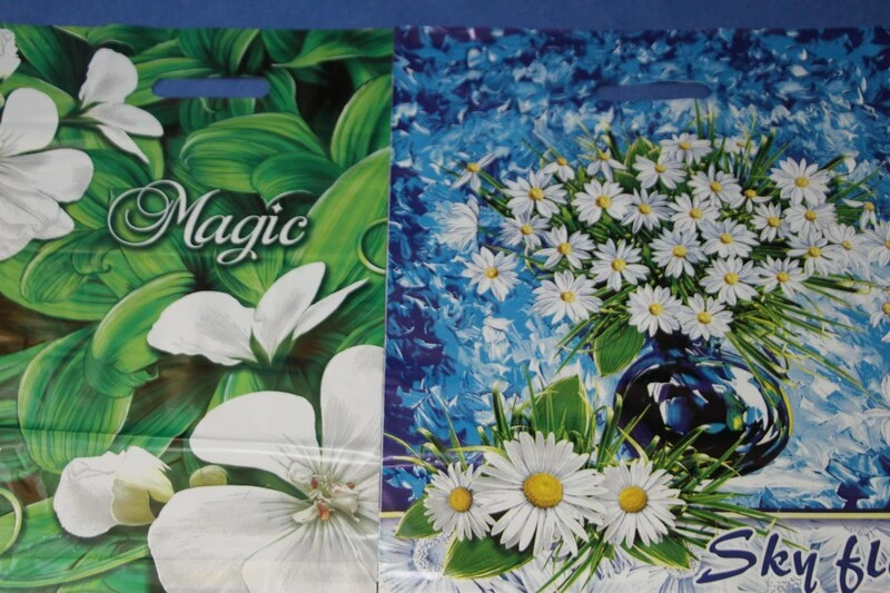 Пакет с выруб. ручкой 40х47 (45) в ассорт ИП / 50 / 500