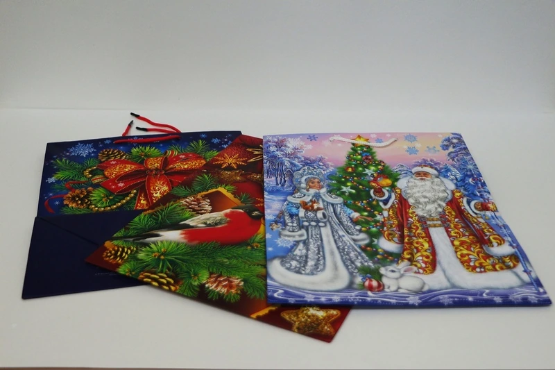 Пакет бум./ламин. (L+) НГ