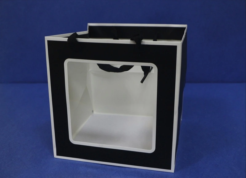 Сумка с окном 20*20*20 12шт/уп