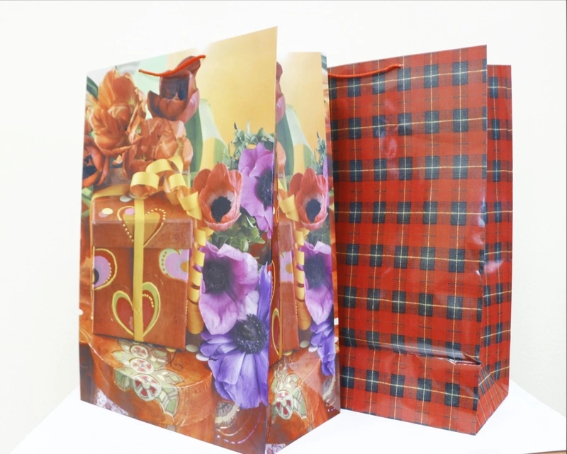 Сумка бум. ламин. ассорти 42*60*22