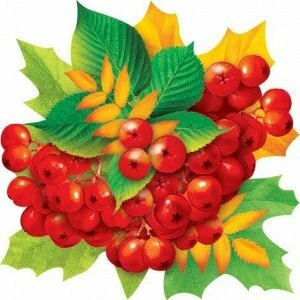 МО 7-65 Открытка на липучке