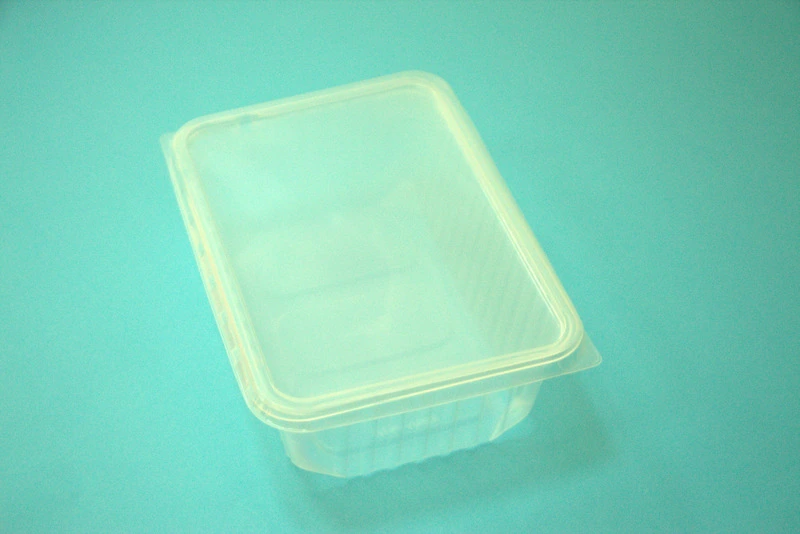 Контейнер 1000 мл 186х132 низкий с крышкой Пермь / 100 / 500