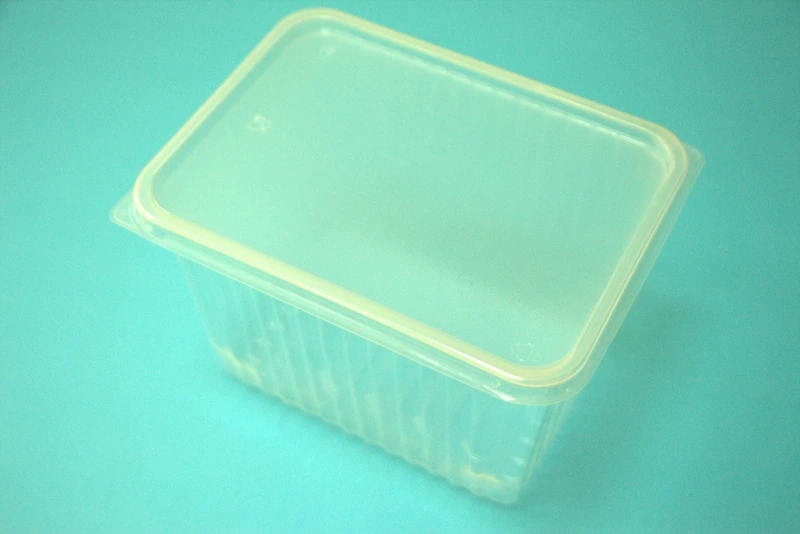 Контейнер 2000 мл 186х132 с крышкой Пермь / 100 / 500