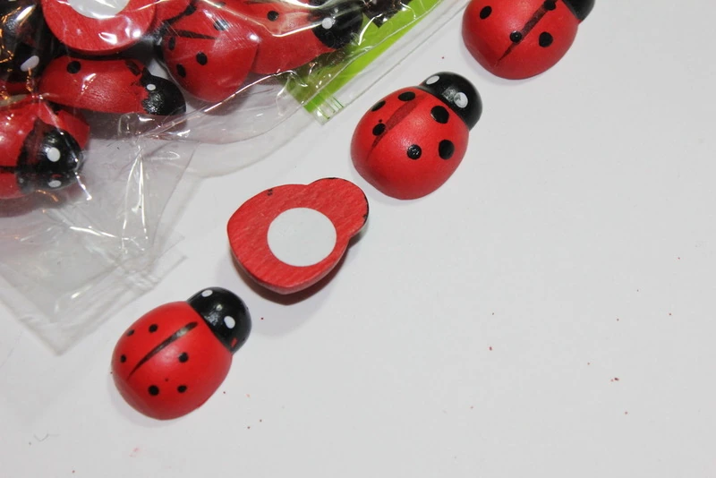Липучка Божья коровка, 24шт. Biedronka 2
