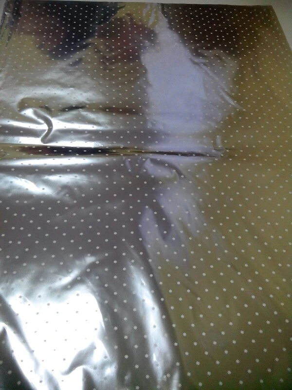 Пакет п/п мет.50х70 с рис.